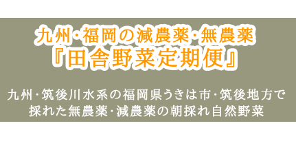 九州の自然で育った田舎野菜