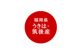 九州・福岡県 うきは・筑後産の野菜