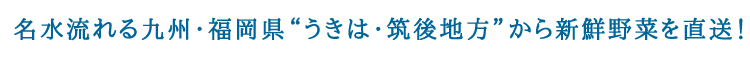 名水流れる九州・福岡県うきは・筑後地方から新鮮野菜を直送!