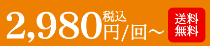 2,980円（税込）／回～　送料無料